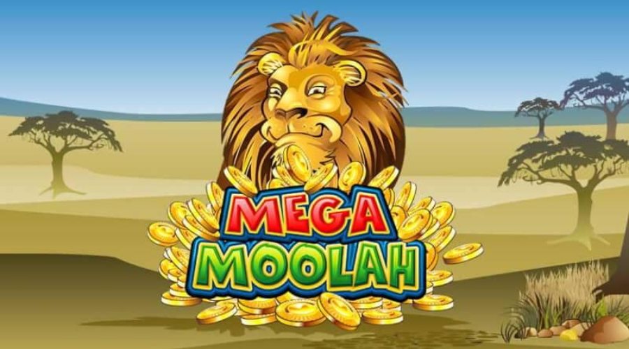 Mega Moolah pic3